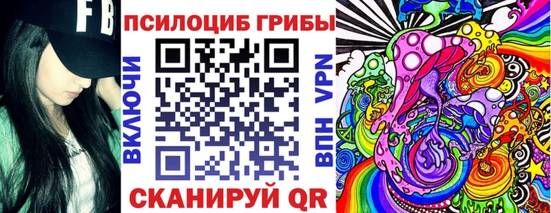 Галлюциногенные грибы Cubensis как найти закладки Вилюйск